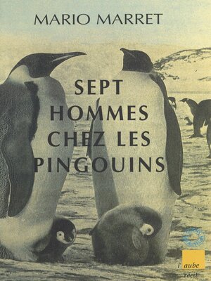 cover image of Sept hommes chez les pingouins